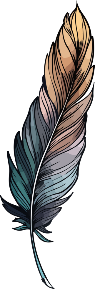 feather illustration isolated on transparent background. png
