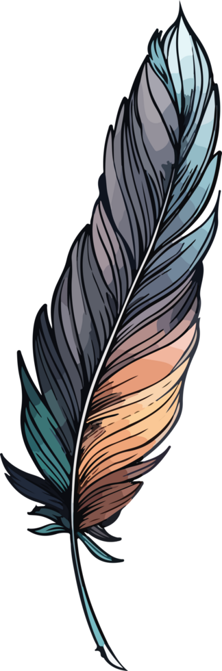 feather illustration isolated on transparent background. png