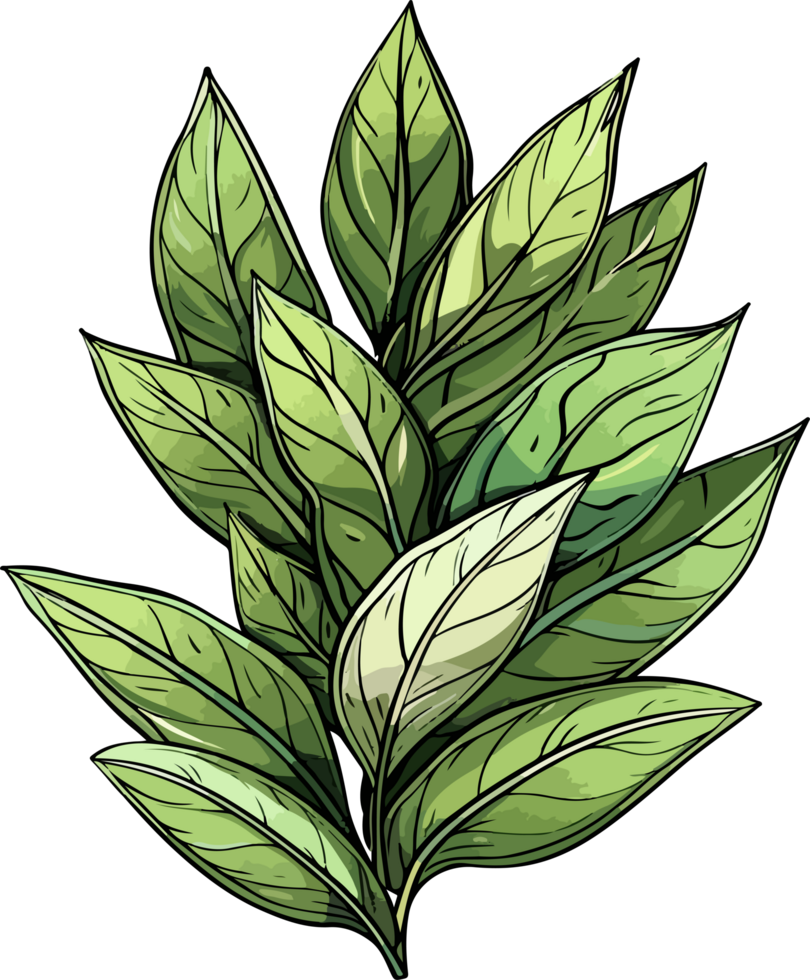 laurel illustration isolated on transparent background. png