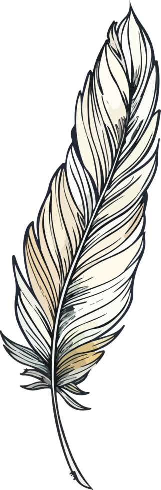 feather illustration isolated on transparent background. png