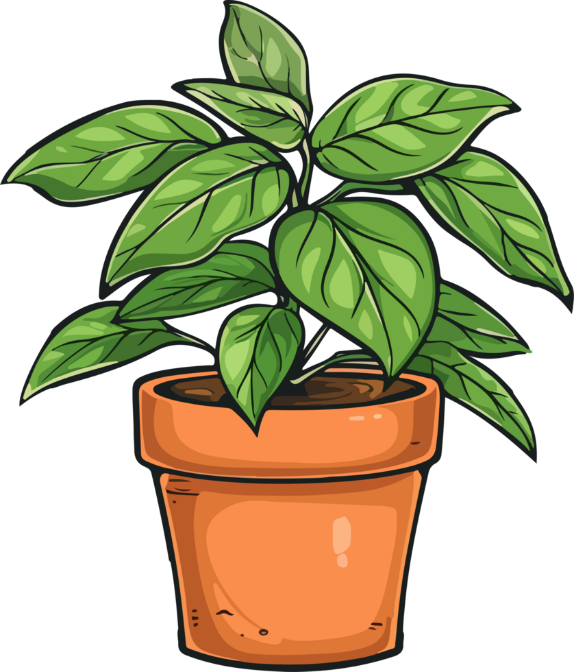 plant illustration isolated on transparent background. png