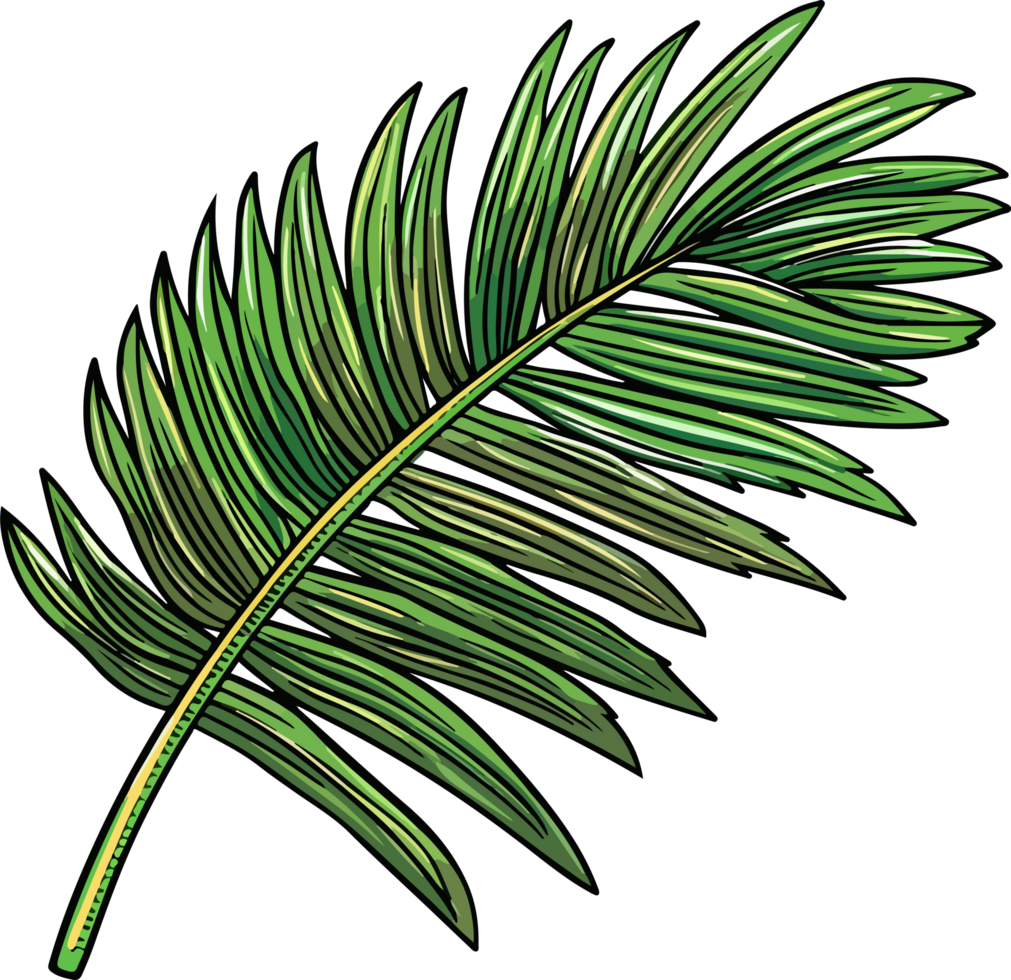palm leaf illustration isolated on transparent background. png