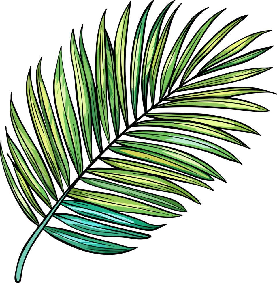 palm leaf illustration isolated on transparent background. png