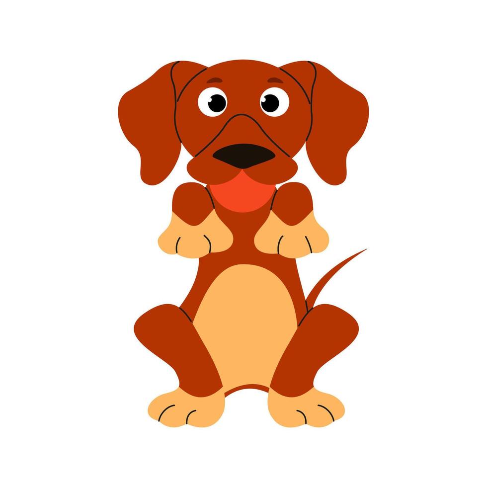 Dachshund dog sitting with ball in mouth. Playful pedigree puppy in hand drawn style vector