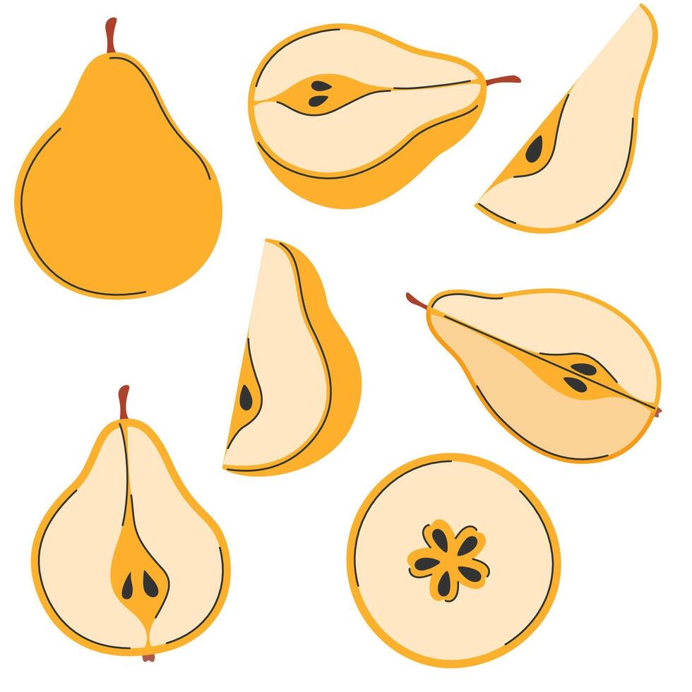 Yellow pear fruit. Whole, chopped, cut half, quarter, piece, section, part, slice of fruit vector