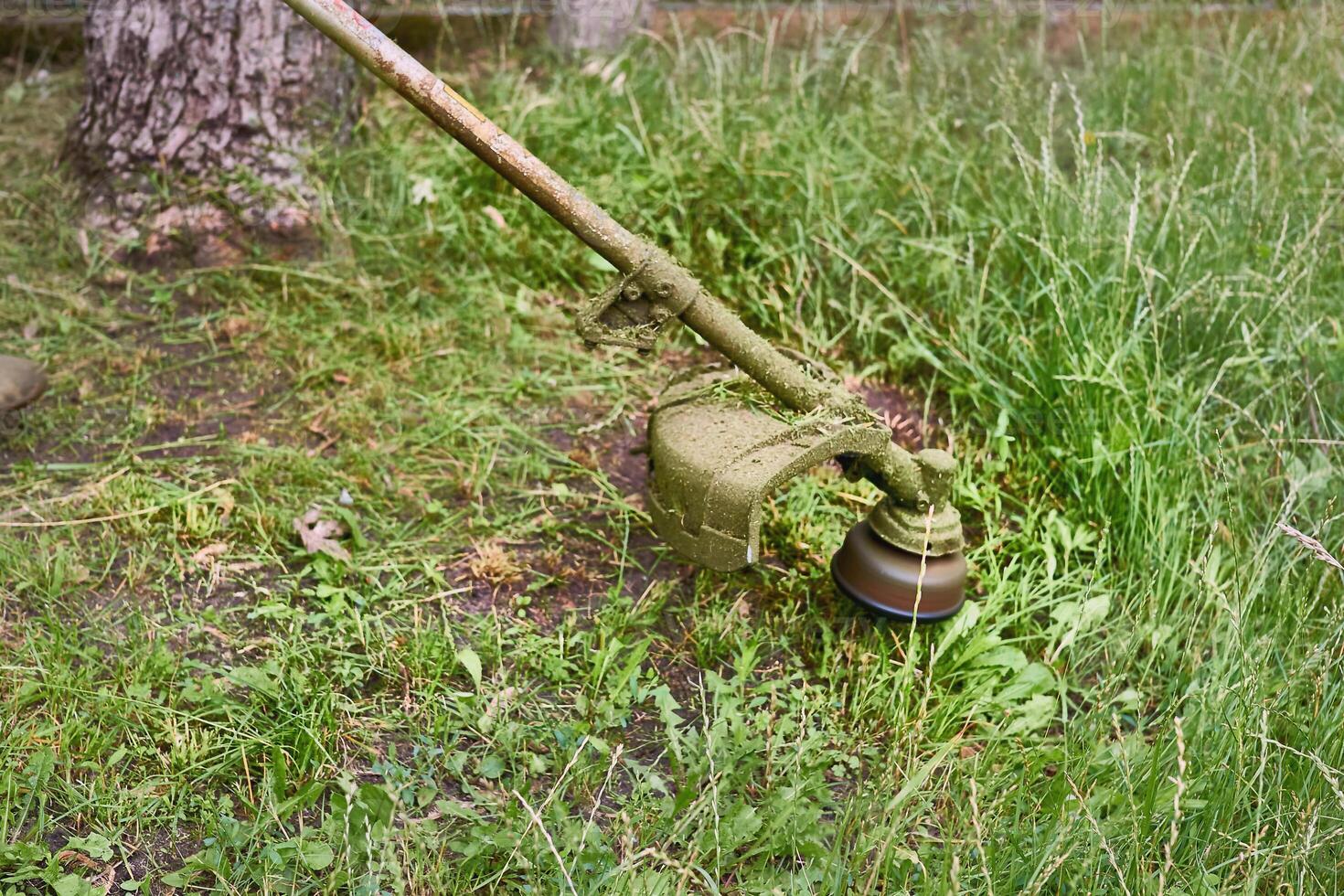 Professional grass cutting on lawns with a mini handle lawn mower photo