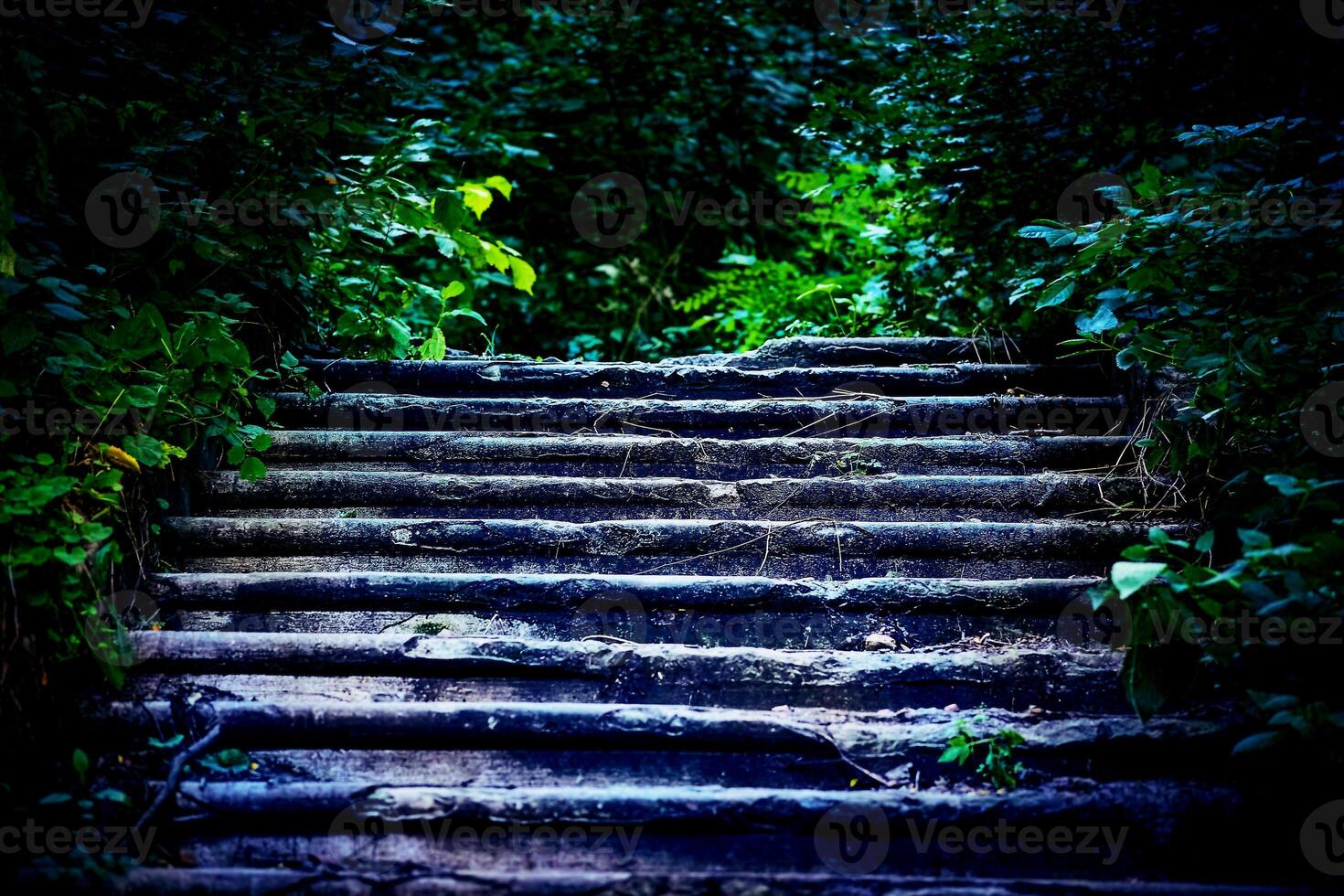 a set of stairs and its surrounding walls or structure. Old ruined stone staircase photo