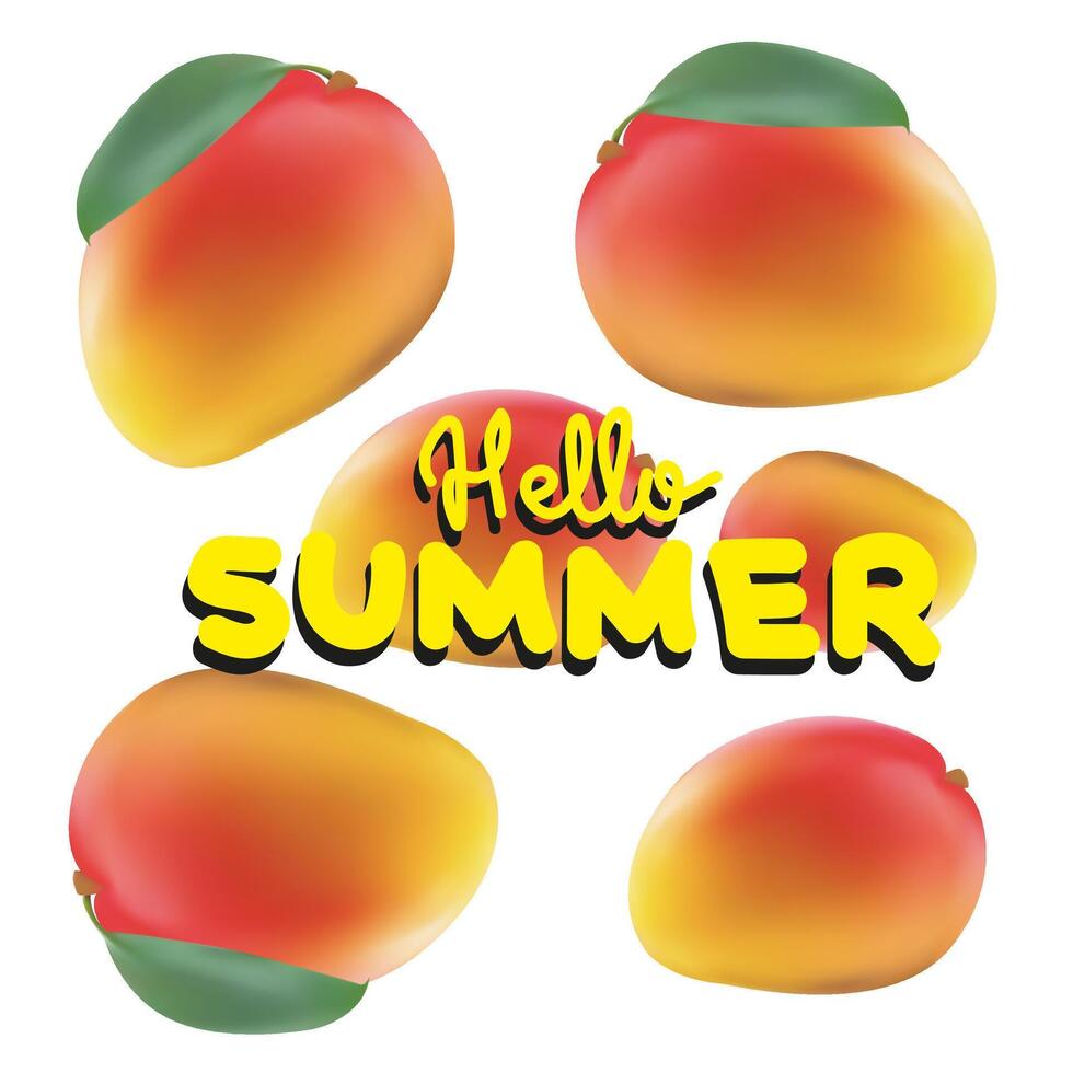 Mango fruits. Hello summer illustration. Mango 3D icon. Sweet tropic fruit. 3D realistic isolated . Editable handmade mesh. Yellow flat inscription vector