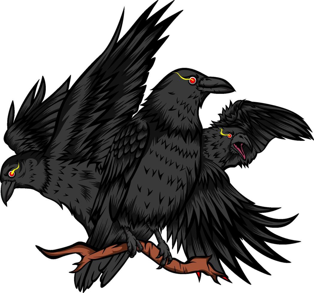 3 BLACK RAVEN DESIGN ILLUSTRATION vector