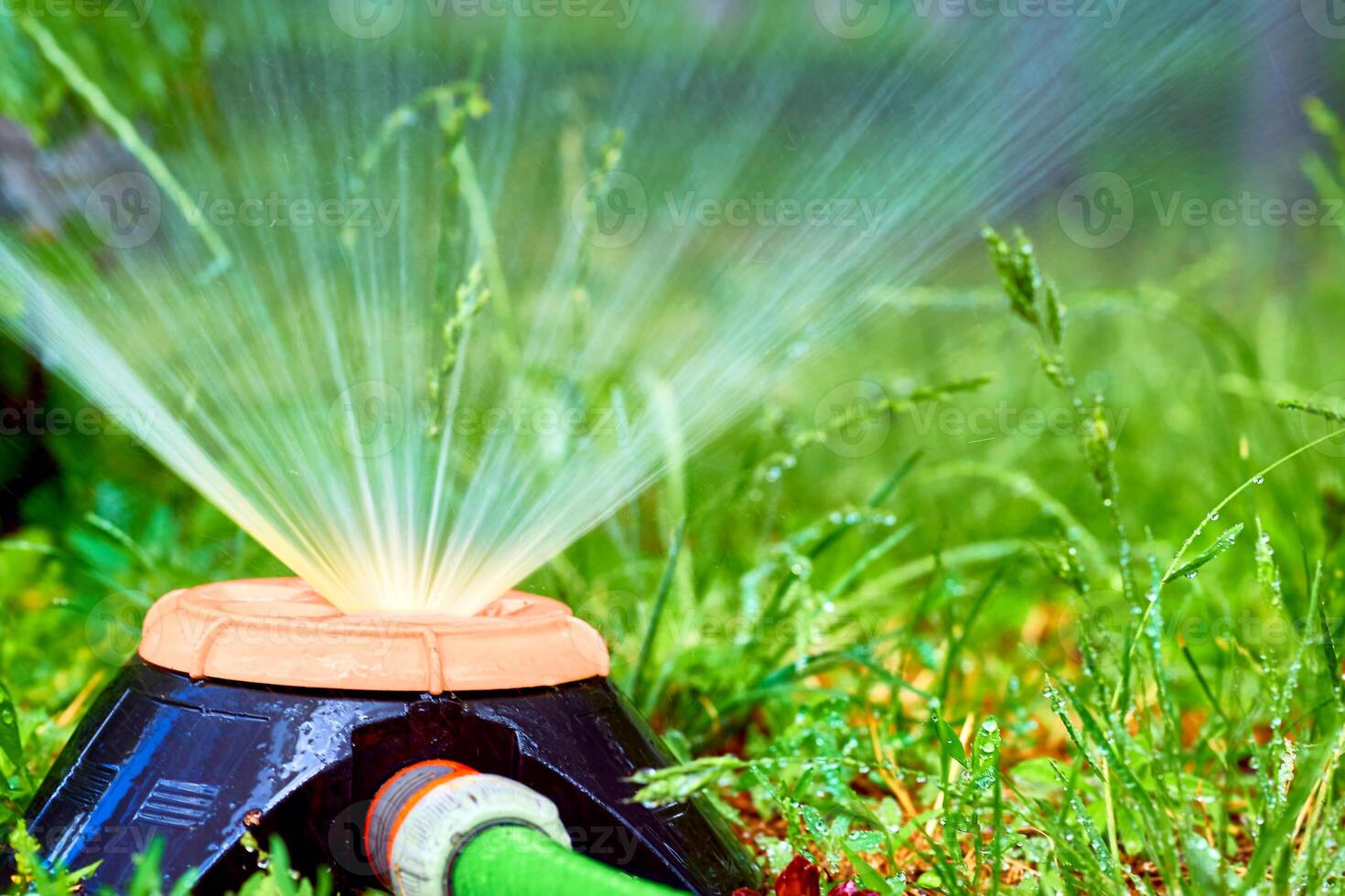 Irrigation system. Sprinkler watering greenery on a hot day in a city park photo