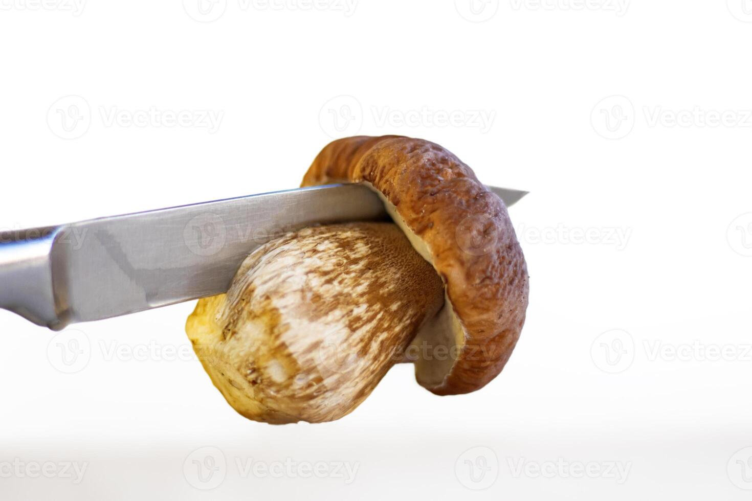Cutting white mushroom with knife into two halves on wooden kitchen board or table. Cooking fungus. Knife cuts boletus fungi. Dividing into two parts. Minimalist design concept. Close up. Copy space. photo