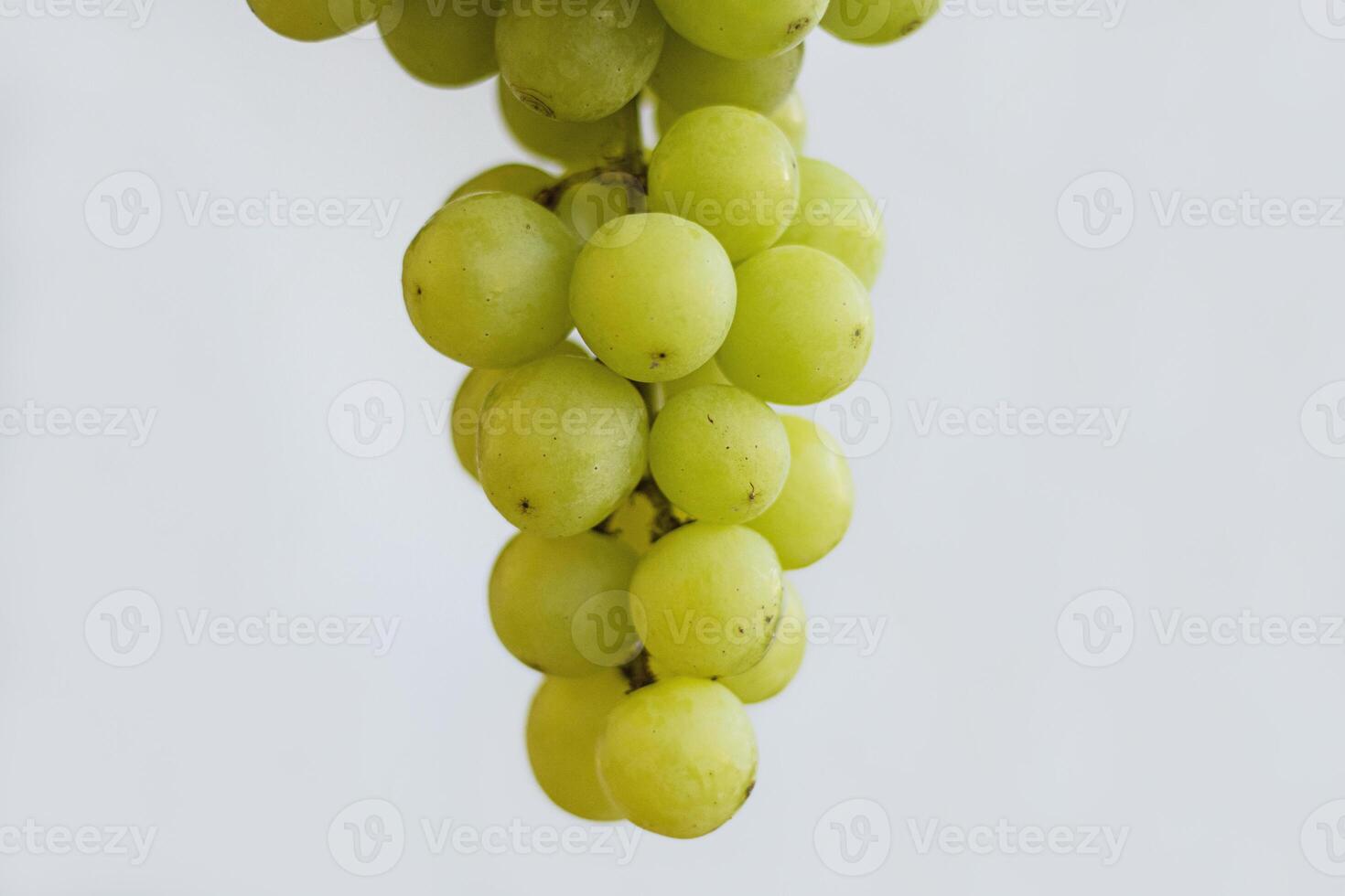 Close up of hanging green grapes branch isolated on the white background. White grape bunch. Copy space. Selective focus photo