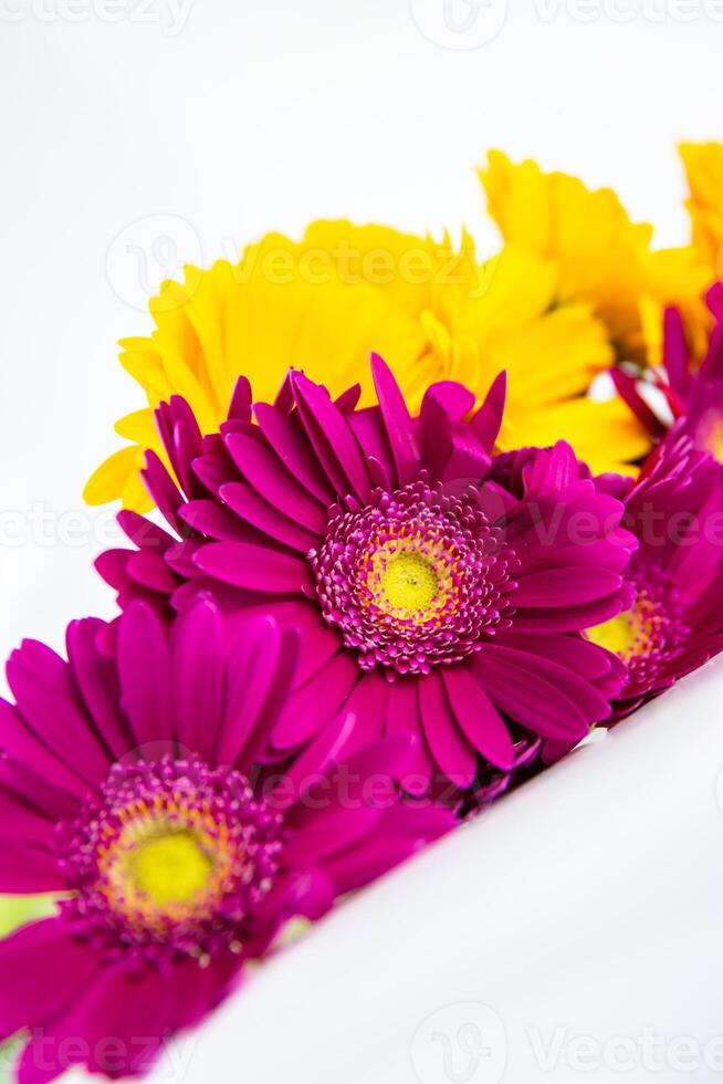 Cropped detail of Bouquet of purple and yellow gerberas laying on the inclined plane. Isolated on white background. Simple concept for banner, card, poster, ads. Close-up. Copy space. Selective focus. photo