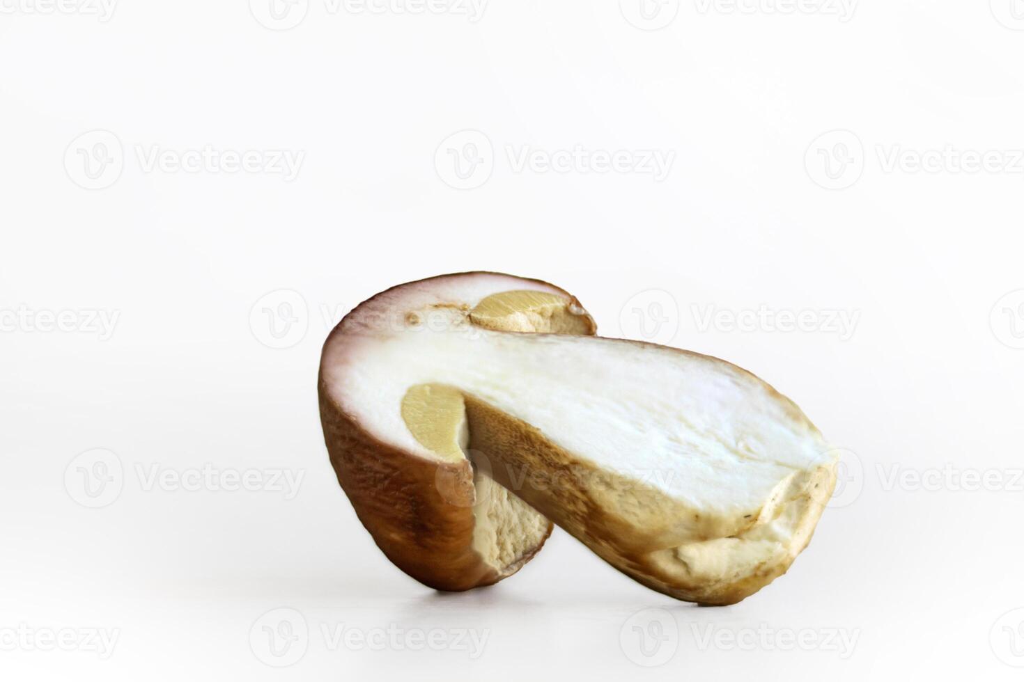 Sliced wild porcini mushroom isolated on white background. Wormy slice of boletus fungi. Worm trace in the fungus flesh. Harvesting for winter. Preparing for drying. Selective focus. Copy space photo