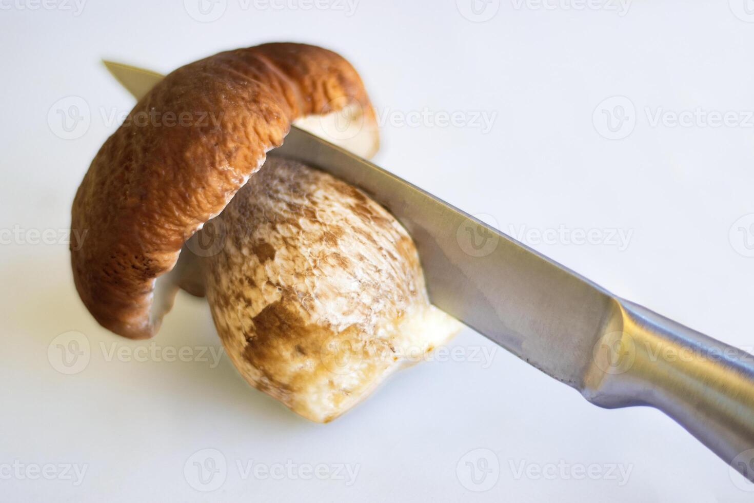 Cutting white mushroom with knife into two halves on wooden kitchen board or table. Cooking fungus. Knife cuts boletus fungi. Dividing into two parts. Minimalist design concept. Close up. Copy space. photo