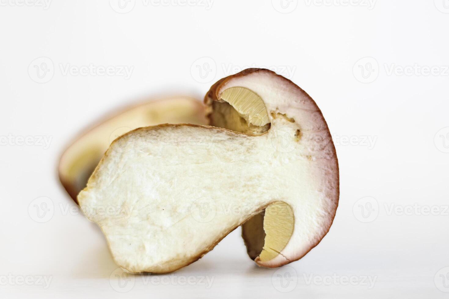 Sliced wild porcini mushroom isolated on white background. Clean slice of boletus fungi. Worm trace in the fungus flesh. Harvesting for winter. Preparing for drying. Selective focus. Copy space photo