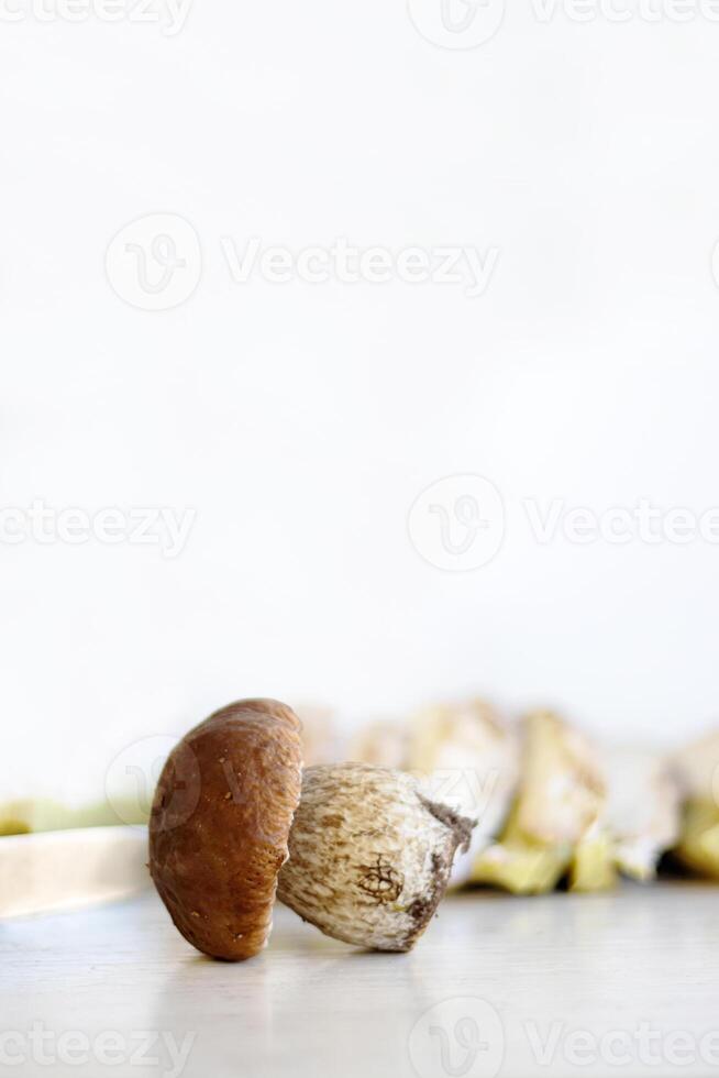 Cutting white mushrooms with knife into many slices on wooden kitchen board or table. Cooking fungus. Knife cuts boletus fungi. Dividing into parts. Minimalist design concept. Close up. Copy space photo