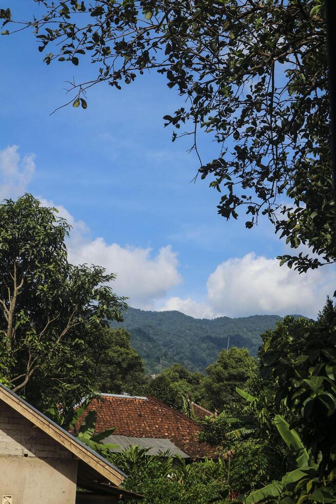 a view of a house and a tree with a mountain in the background photo