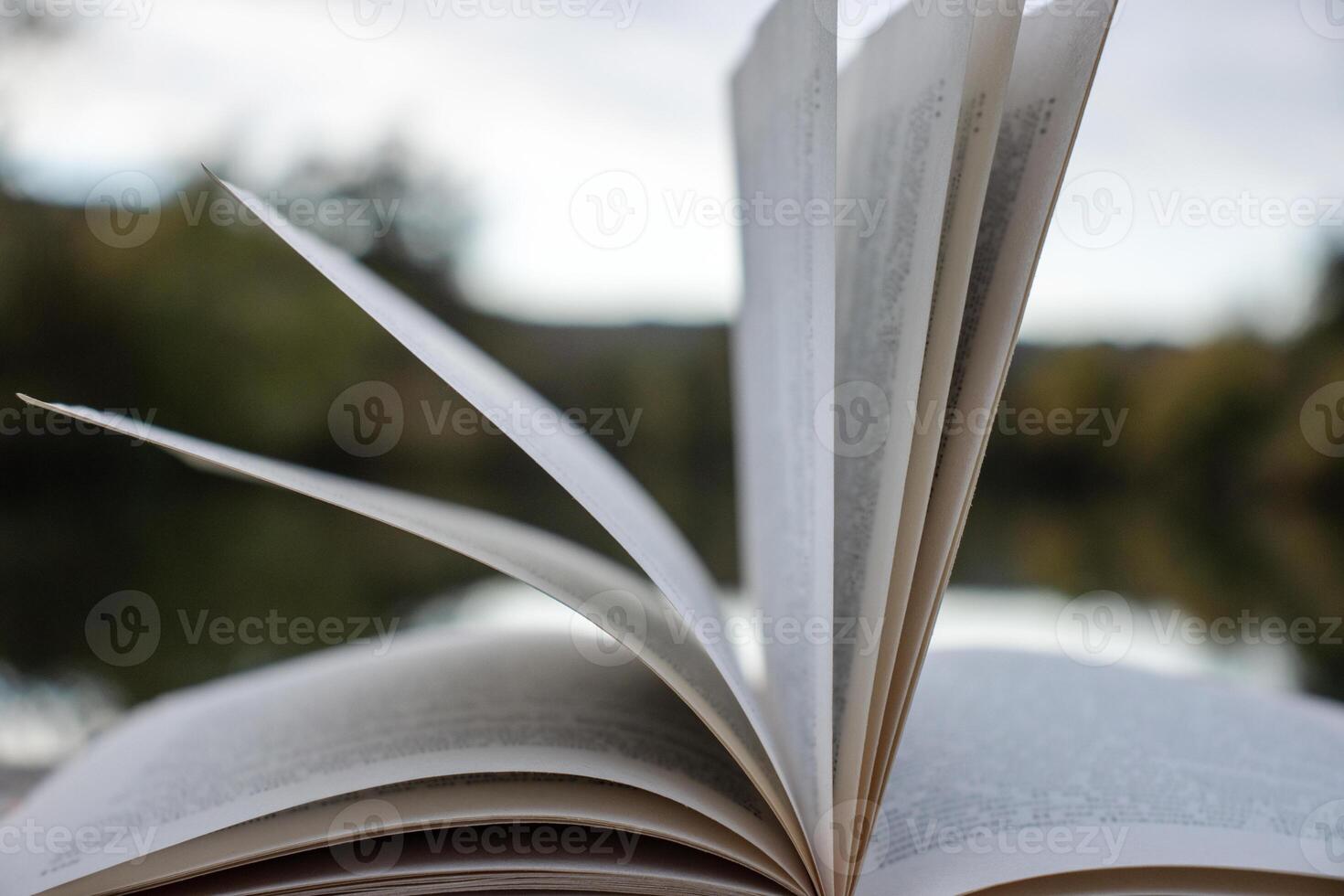 Pages of an open book on the wooden deck on the lake in the forest. Concept of reading, relaxing, meditating, education, visiting libraries, book exhibitions. Close up. Side view. Selective focus photo