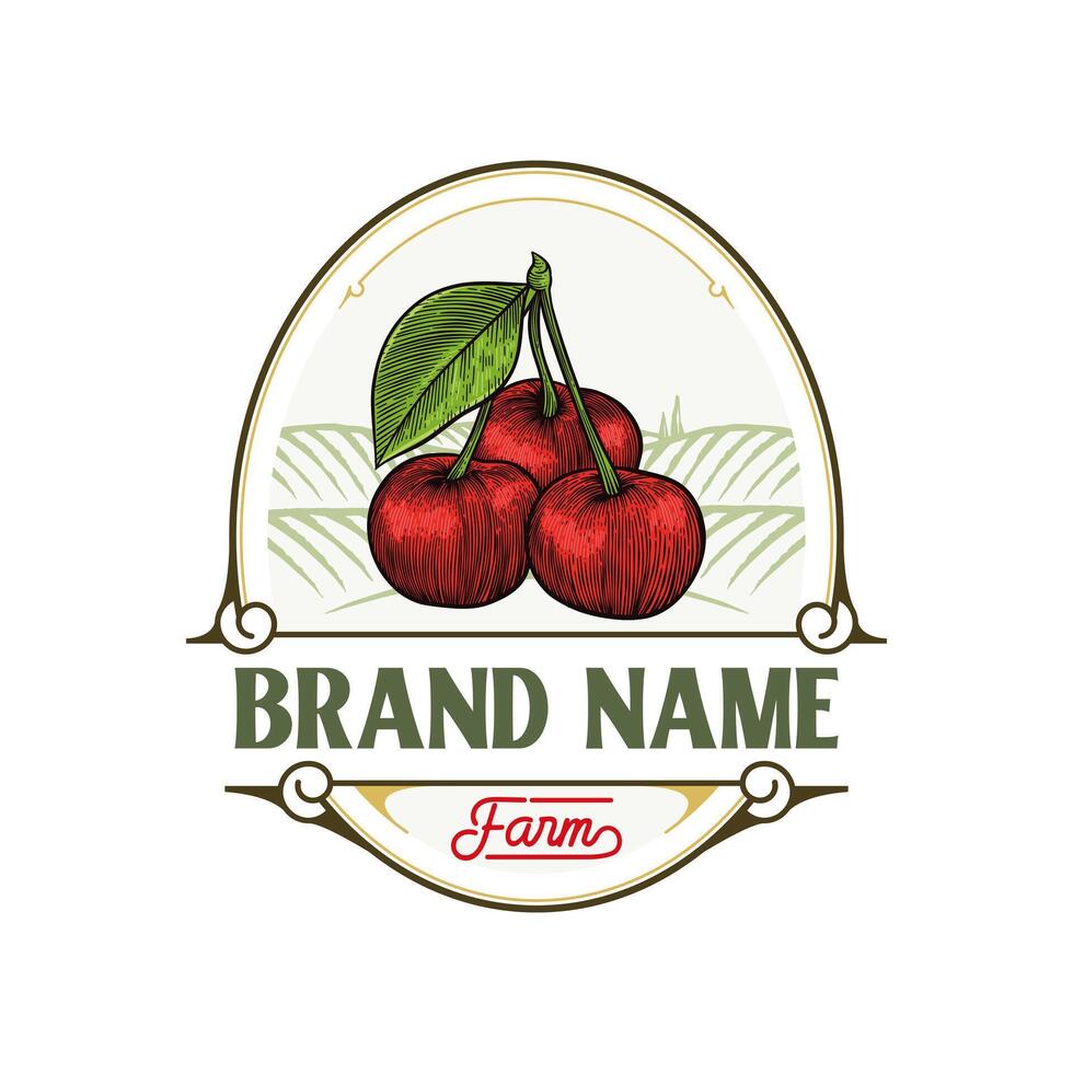 cherry fruit illustration logo in vintage style vector