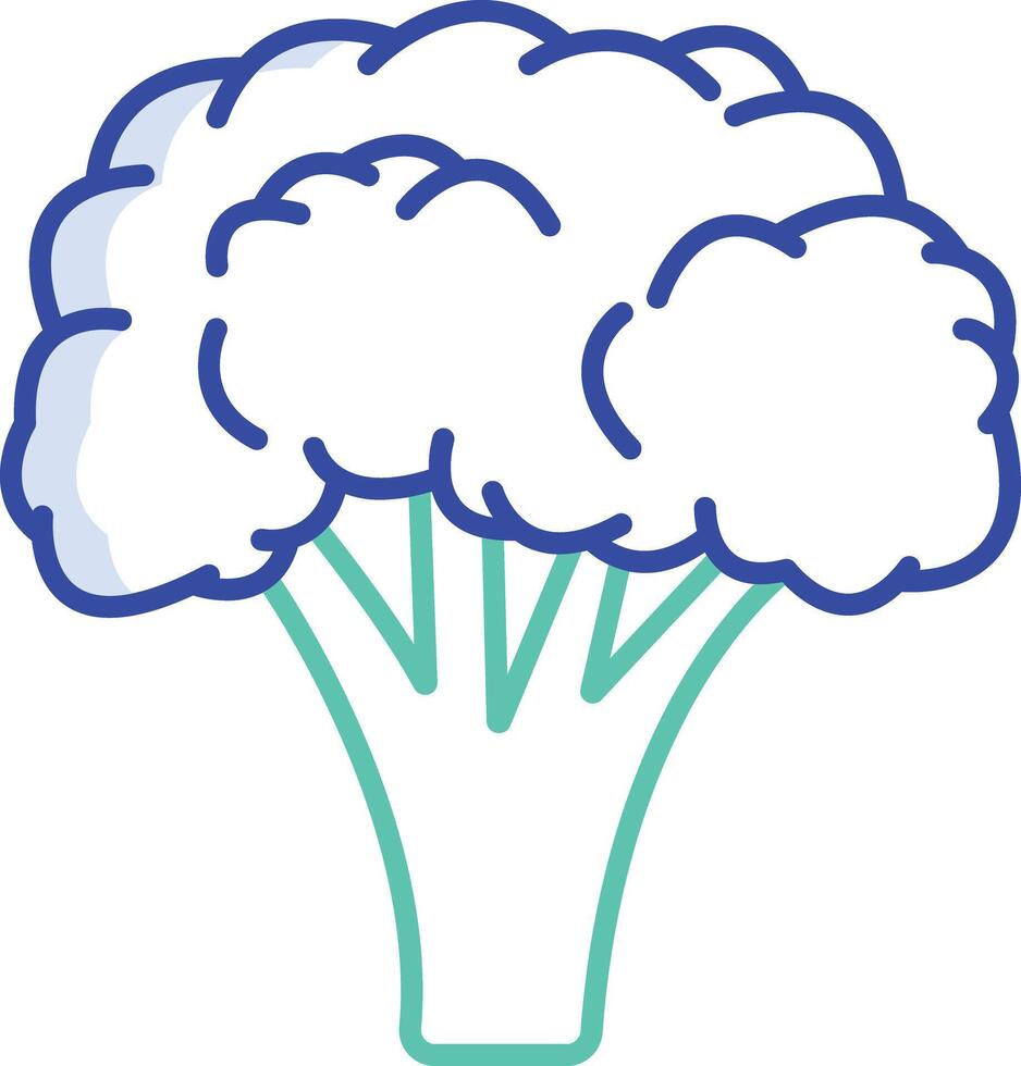 Broccoli outline color illustration vector