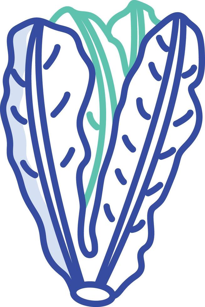 Lettuce outline color illustration vector