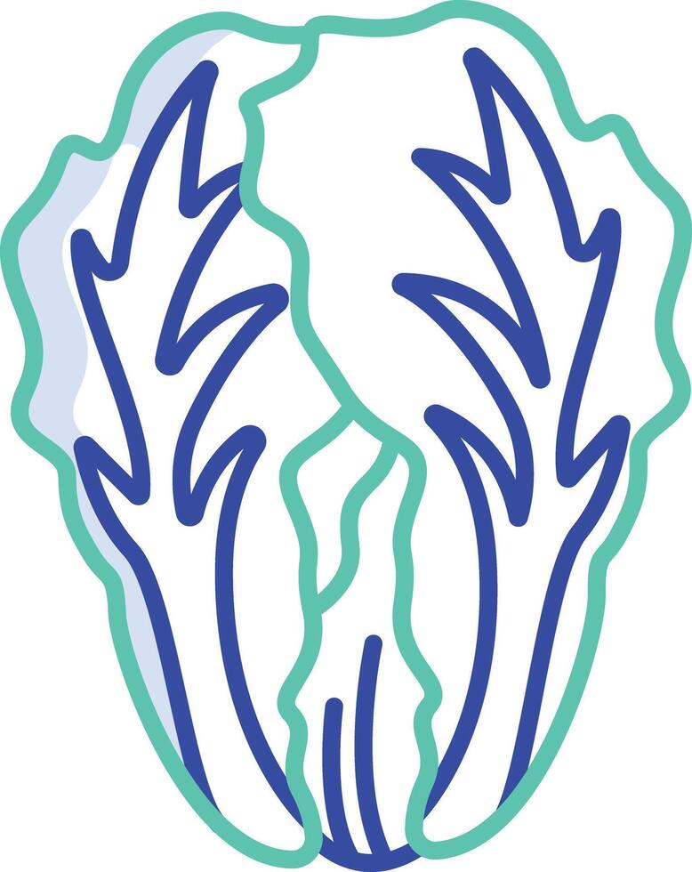 Chinese cabbage outline color illustration vector