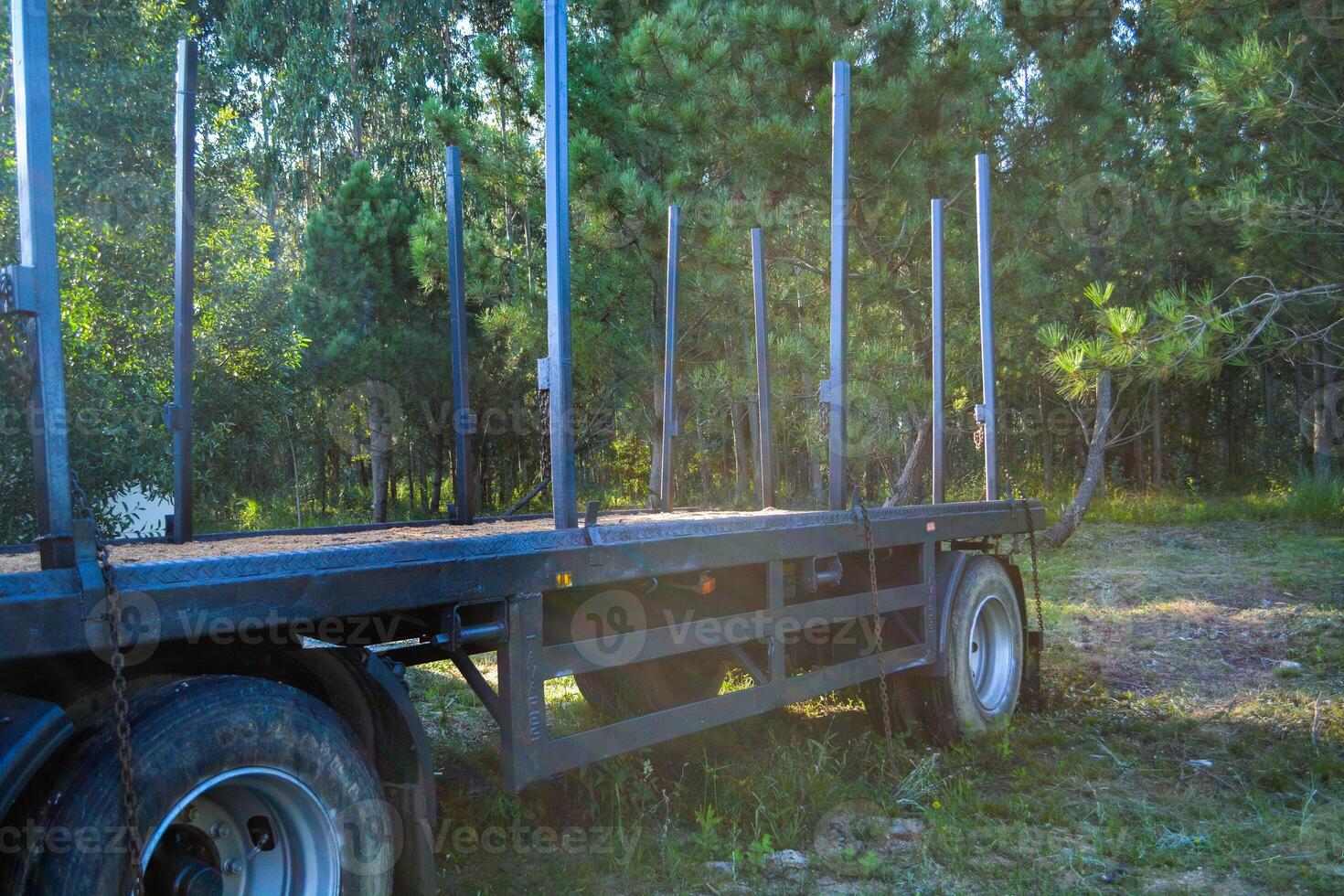 An empty timber truck stands in the middle of the forest. Forestry technologies - timber carrier for transporting logs. photo