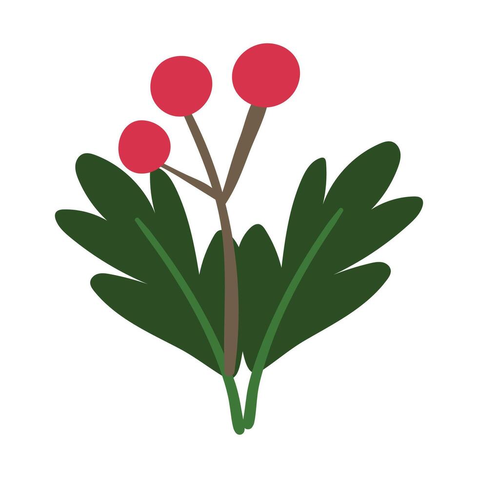 doodle nothern plant with red berries Hand drawn Christmas witner plant with berries vector