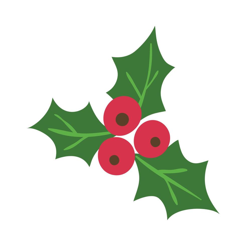 Holly berry icon leaves and berries mistletoe Symbol of Christmas illustration vector