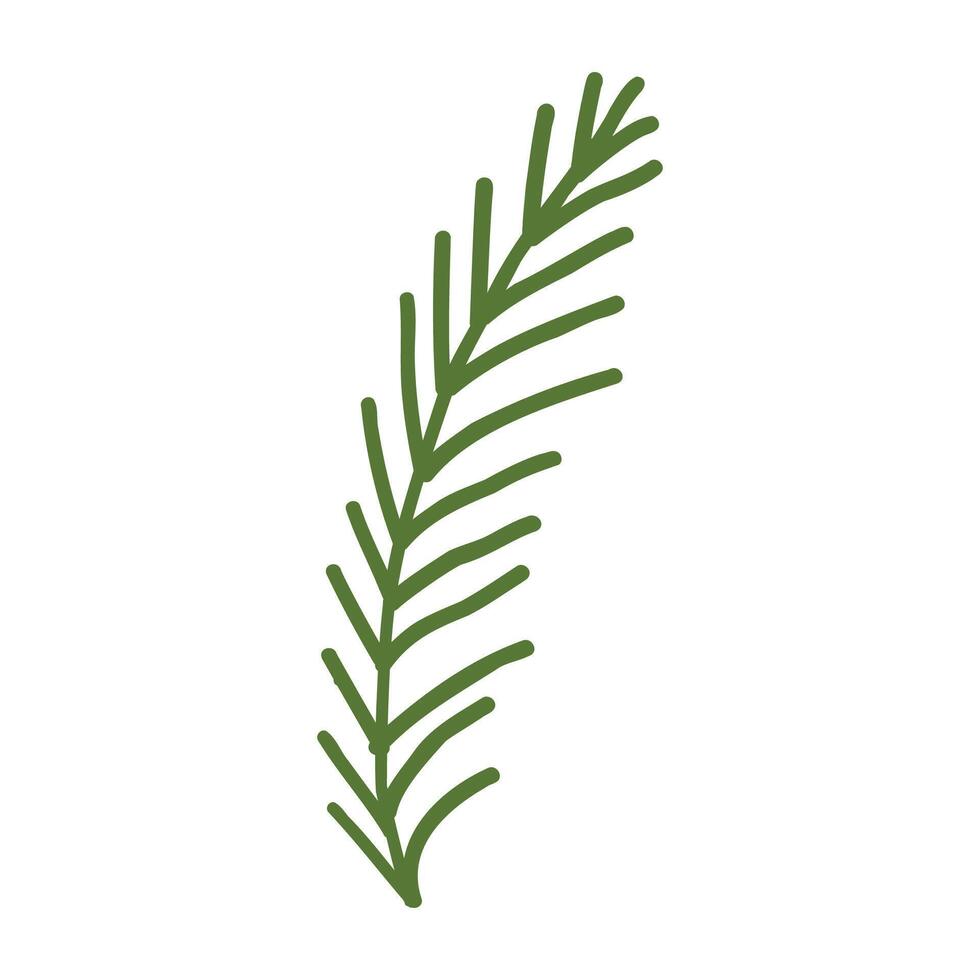 Tropical botanical palm leaves illustration on a white vector