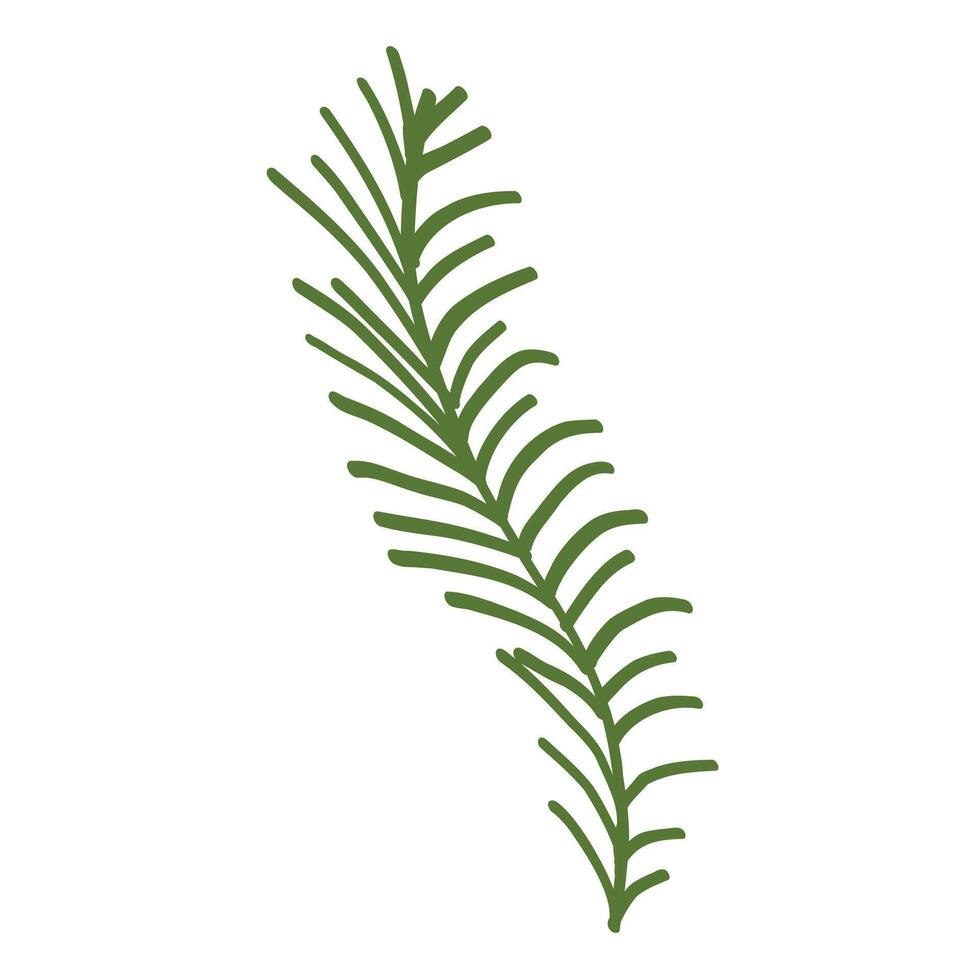 Tropical botanical palm leaves illustration design on the white background vector