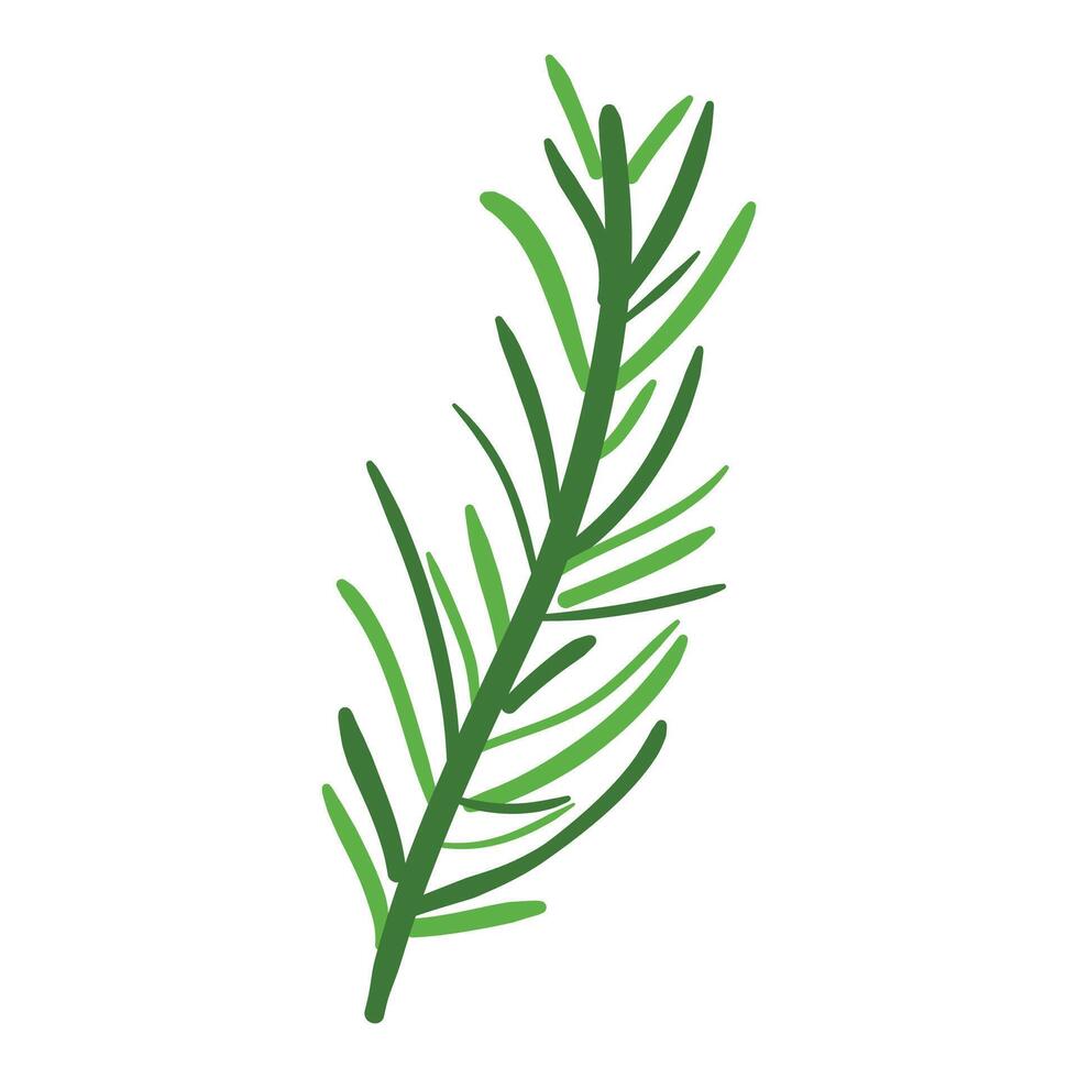 Tropical botanical palm leaves illustration on white background vector