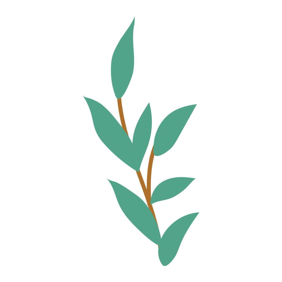 Botanical element Decorative branch Floral greenery illustration vector