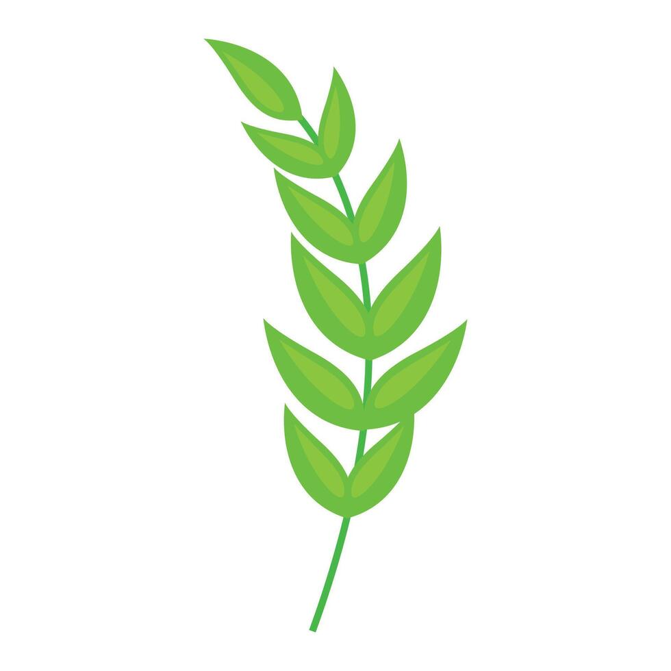 Botanical element Decorative branch Floral illustration design on white vector