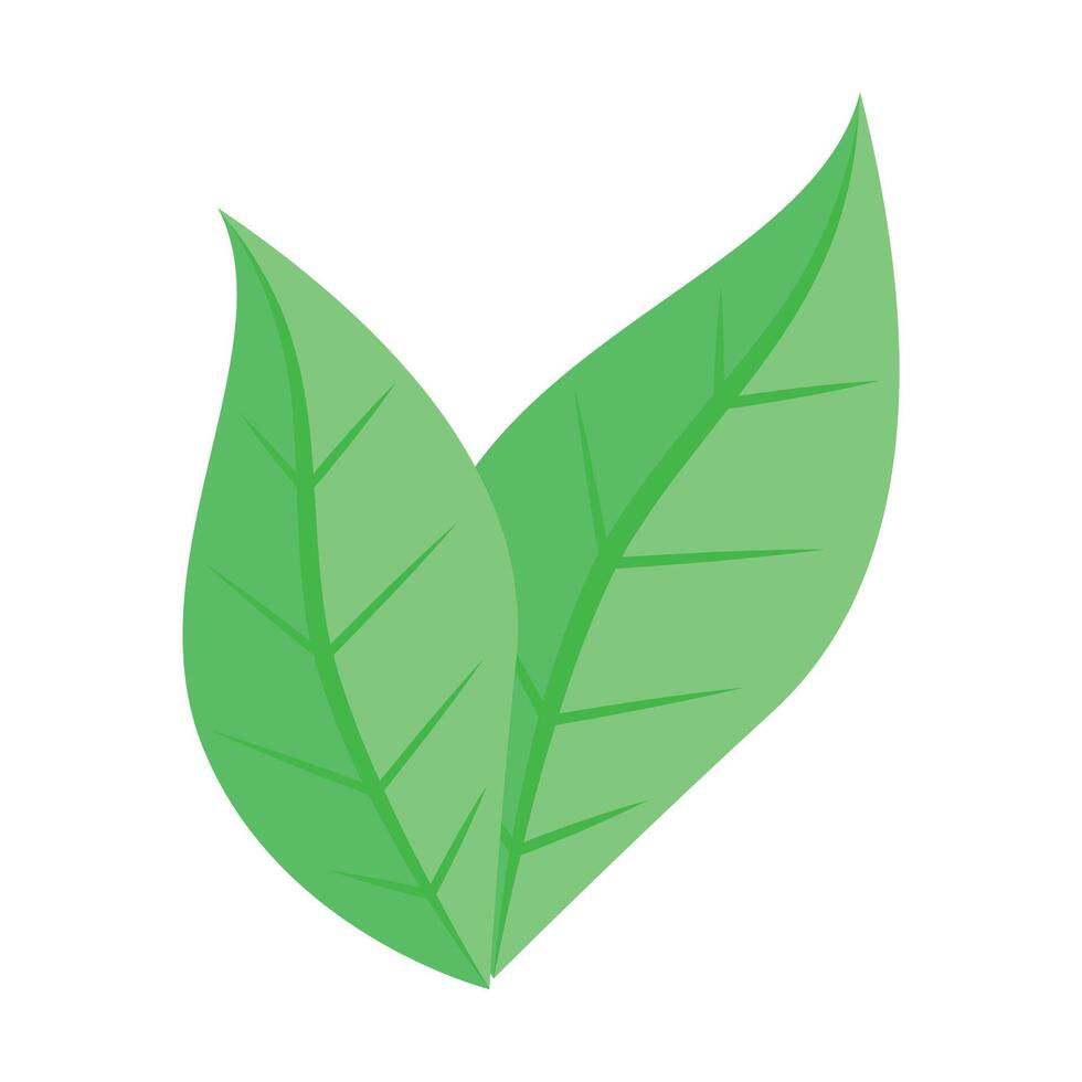 Botanical element Decorative branch Floral illustration design on a white background vector