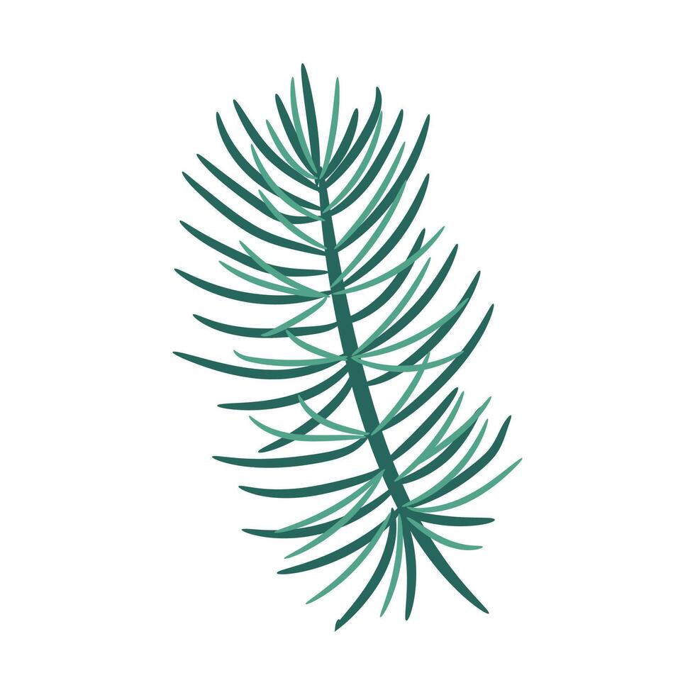 Botanical element Decorative branch Floral greenery on the white vector