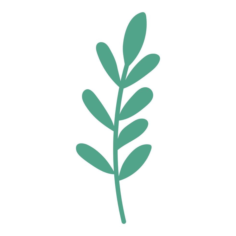 Botanical element Decorative branch Floral greenery illustration on white background vector