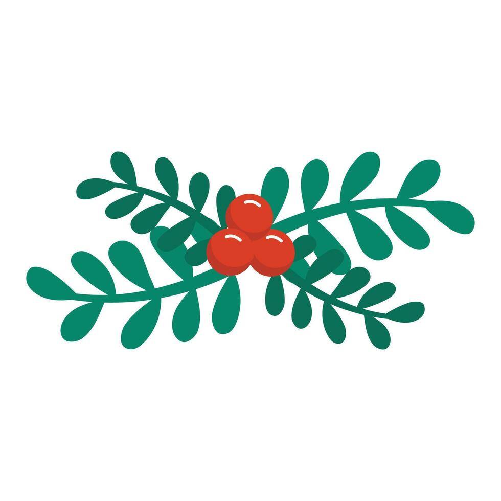 Holly berry leaves and berries mistletoe Symbol of Christmas illustration on white background vector