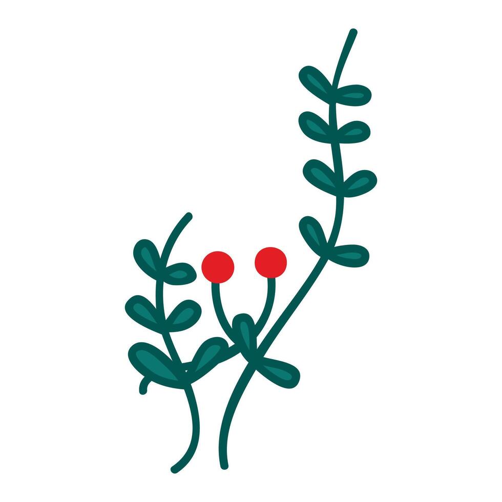 Holly berries and leaves illustration christmas new year winter on white vector