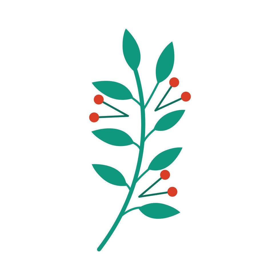Holly berries and leaves illustration christmas new year winter on a white background vector