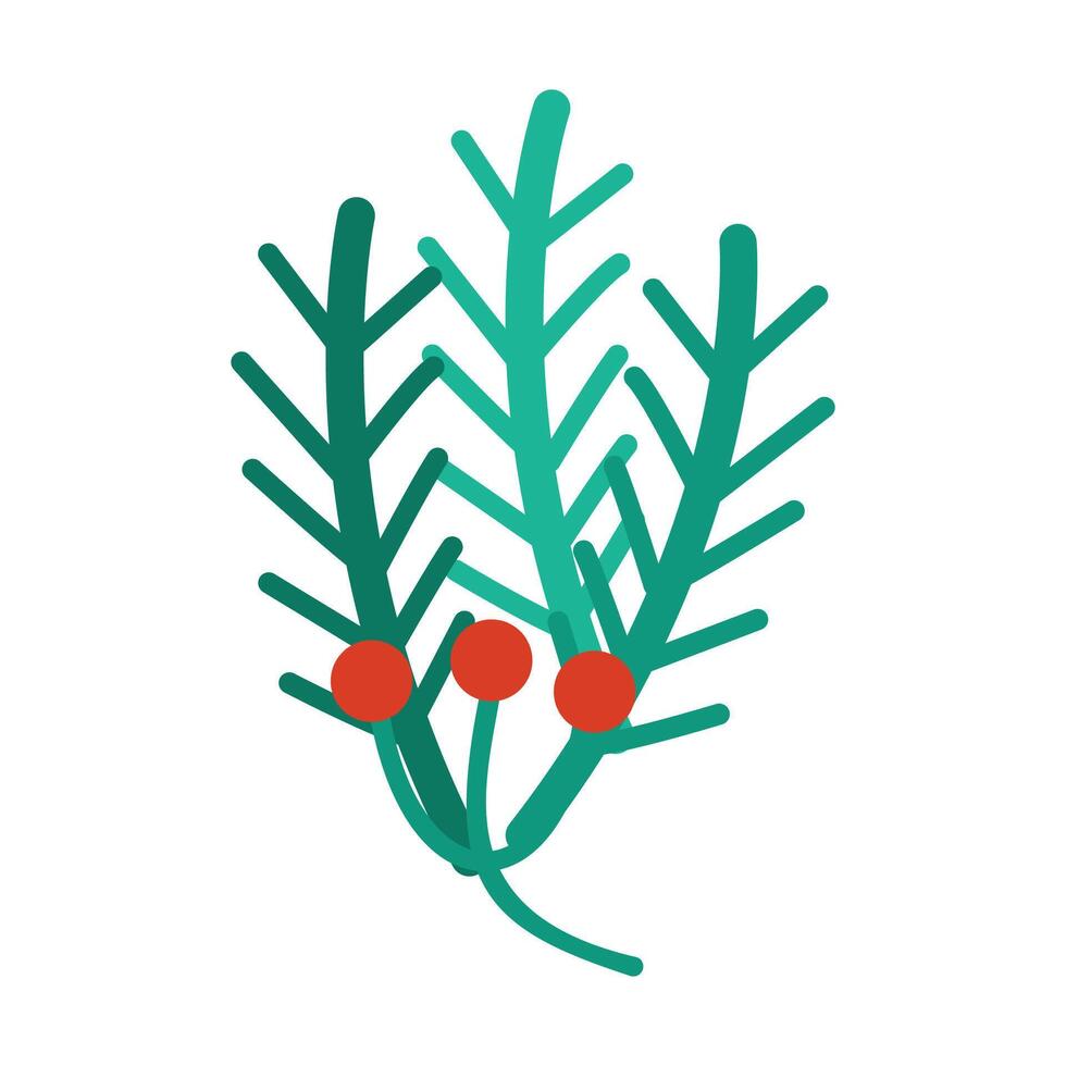 Holly berries and leaves illustration christmas new year winter on white background vector