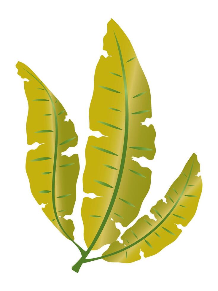 Composition of green tropical leaves isolated on white background. vector
