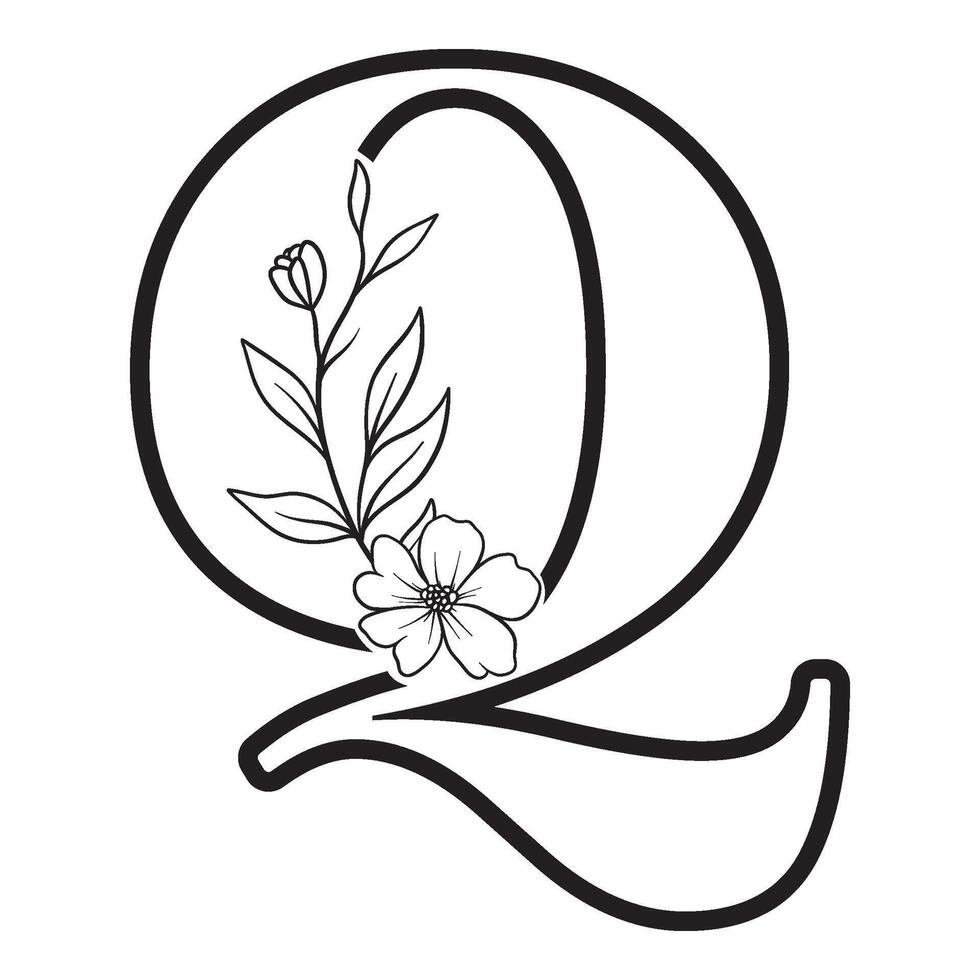 alphabet letter Q with wildflower outline vector