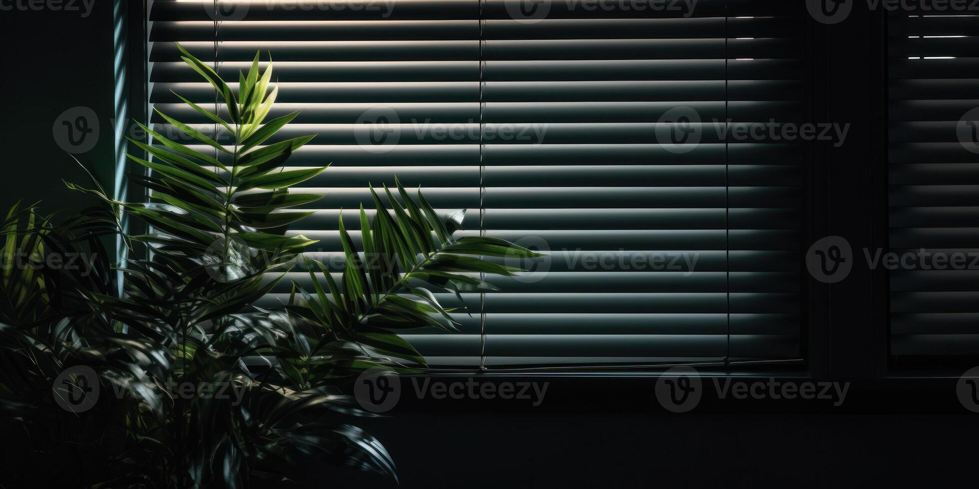Indoor Plant In Soft Glow Of Moonlight Through Window Blinds. Houseplant In Dark Apartment. photo