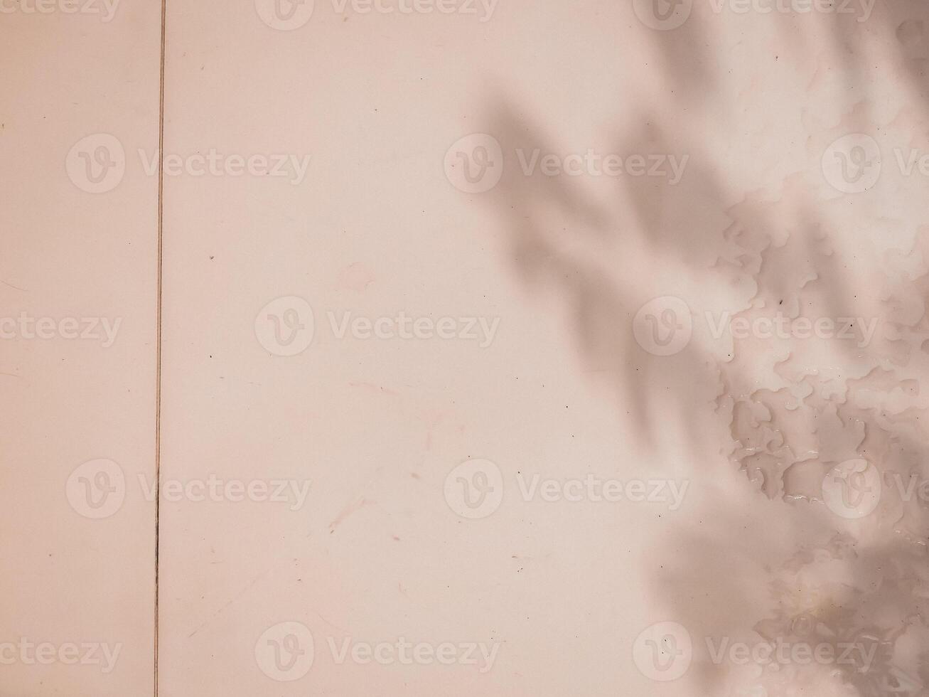 brown wood texture with light wooden background. Selective focus. Space for copy text. photo