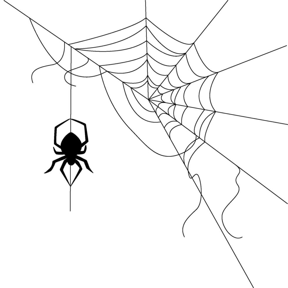 Halloween web with spider background for party. Isolated objects on a transparent background vector