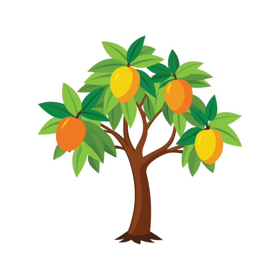 Mango Tree illustration design and cartoon vector
