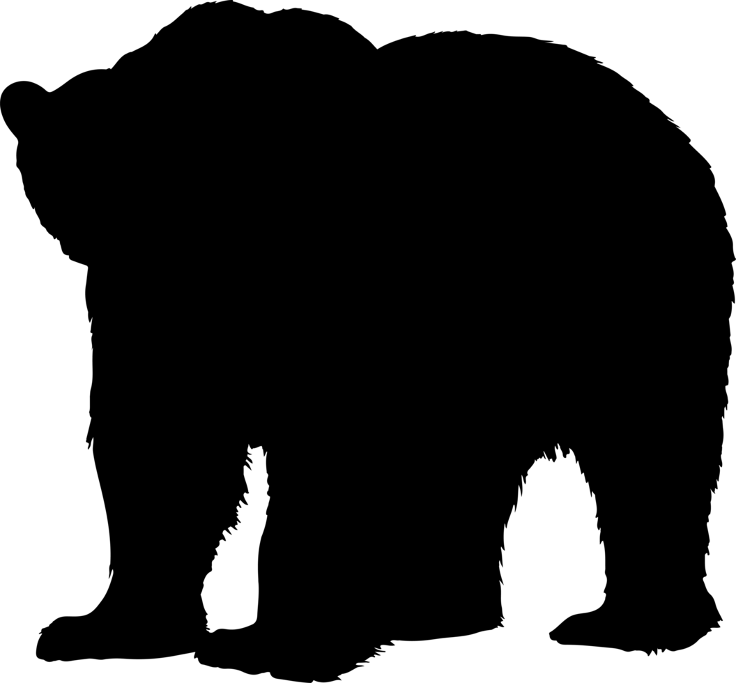 polar bear illustration isolated on transparent background. png