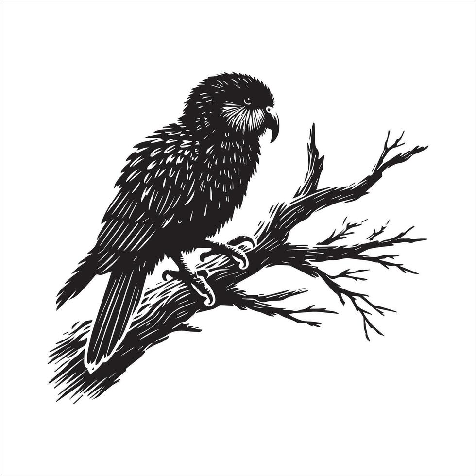 Kakapo silhouette - Owl Parrot Clipart - A Kakapo bird perched on a tree branch illustration in black and white vector